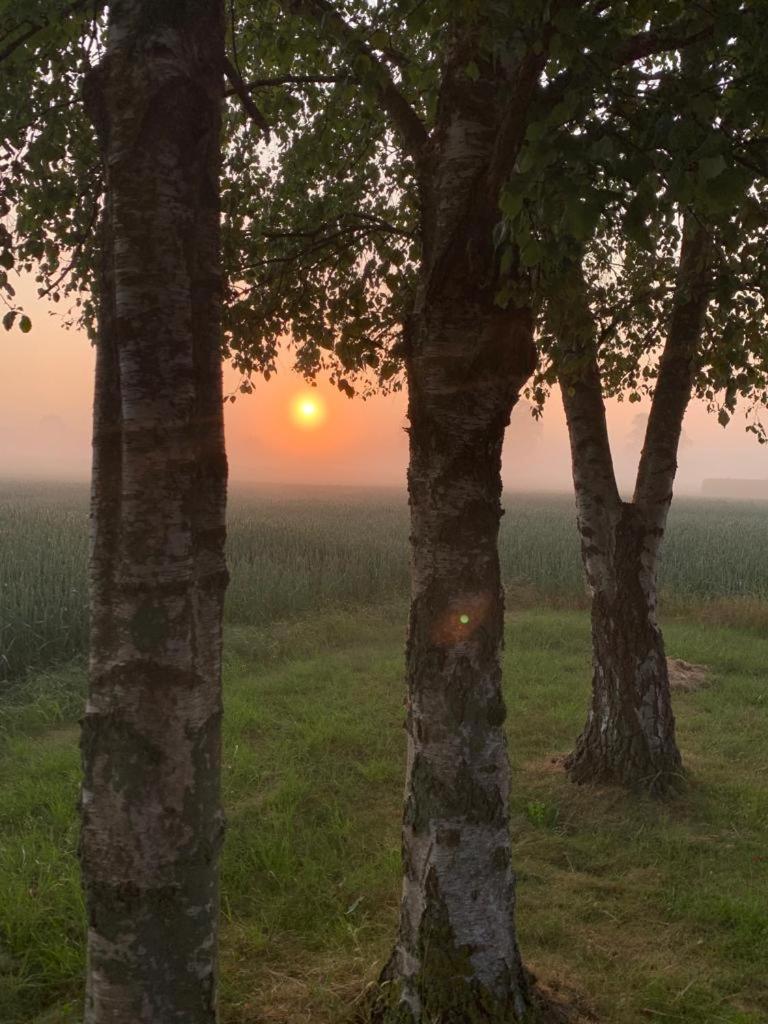 Romantic Luxus Glamping 1 Idestrup Eksteriør bilde
