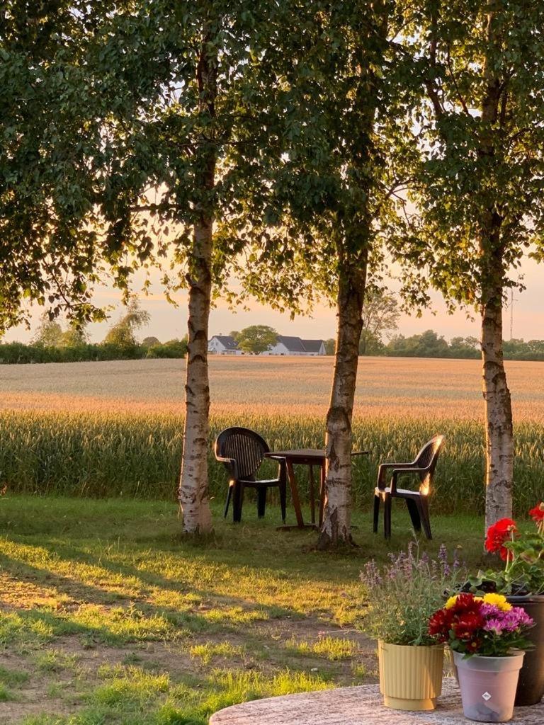 Romantic Luxus Glamping 1 Idestrup Eksteriør bilde